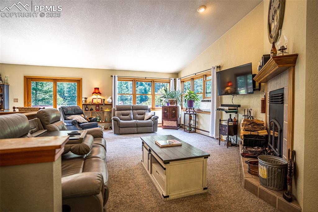 Image 9 of 32: Living Room