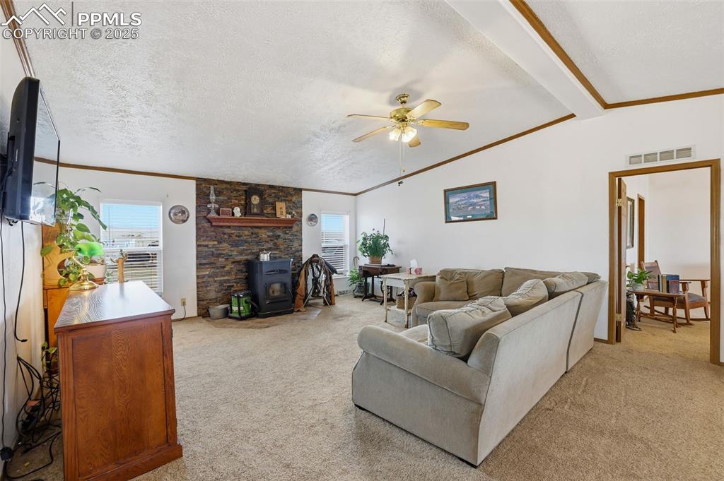 Image 11 of 49: Living room with a wood stove, a textured ceiling, ornamental molding, ligh