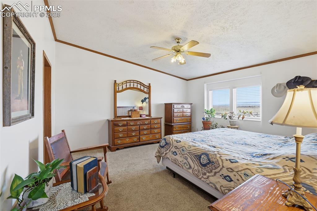 Image 18 of 49: Bedroom featuring carpet, ornamental molding, a ceiling fan, and a textured