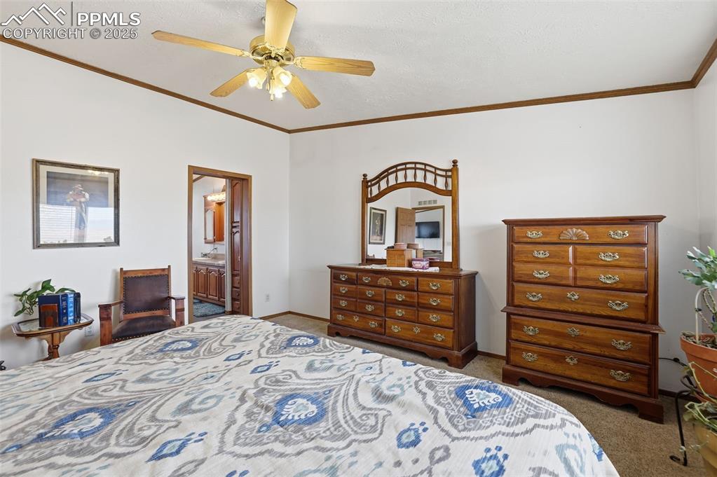 Image 20 of 49: Bedroom featuring ornamental molding, ceiling fan, dark colored carpet, and