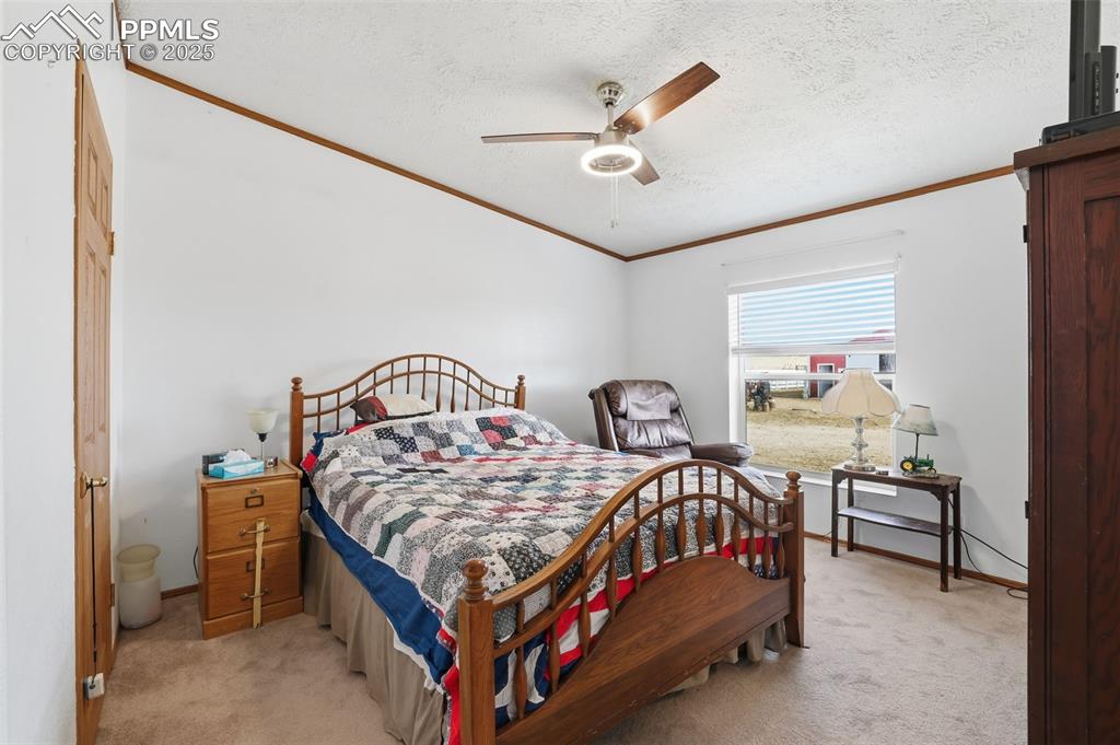 Image 27 of 49: Bedroom with crown molding, a ceiling fan, light carpet, and a textured cei