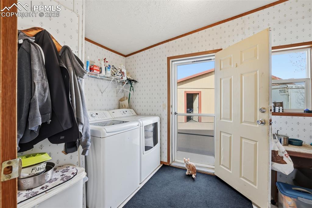 Image 29 of 49: Washroom featuring wallpapered walls, dark colored carpet, separate washer 