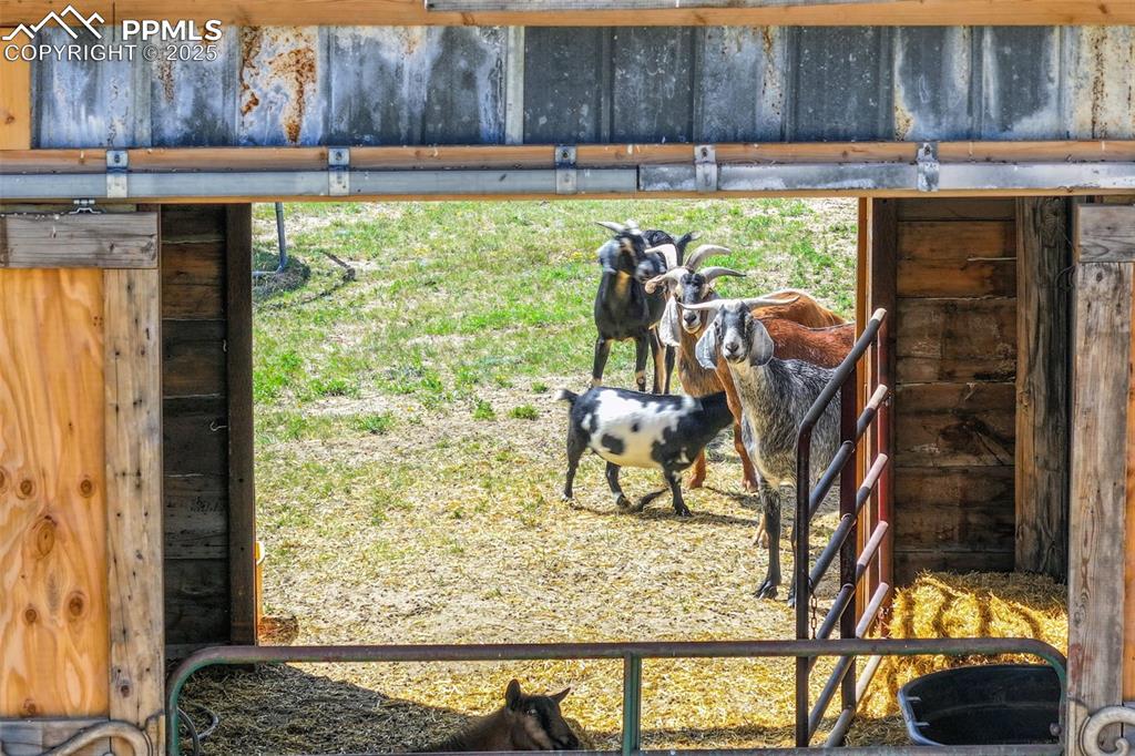 Image 42 of 49: Stable