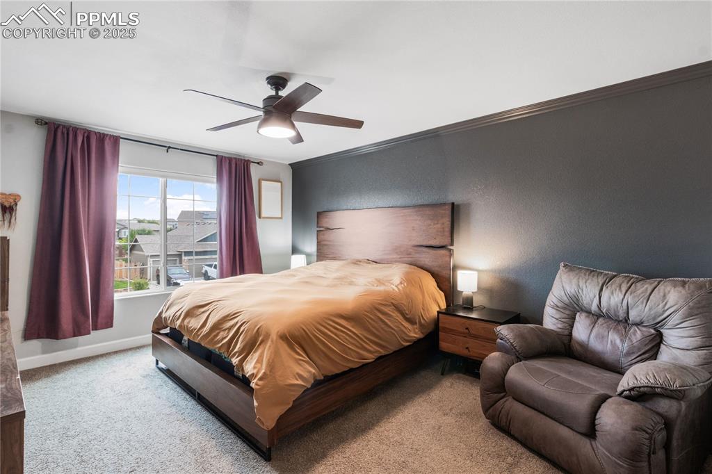 Image 17 of 38: Master Bedroom