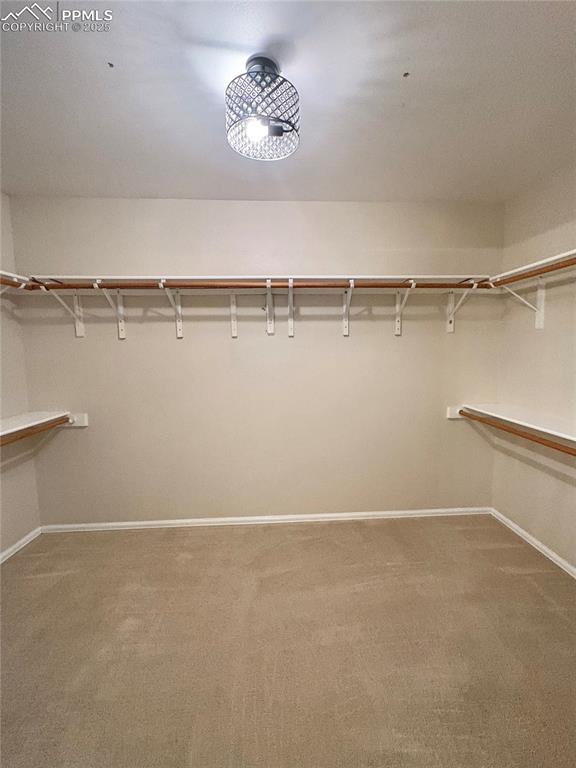 Image 18 of 27: Walk in closet featuring light colored carpet