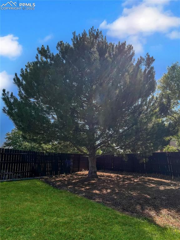 Image 6 of 27: View of fenced backyard