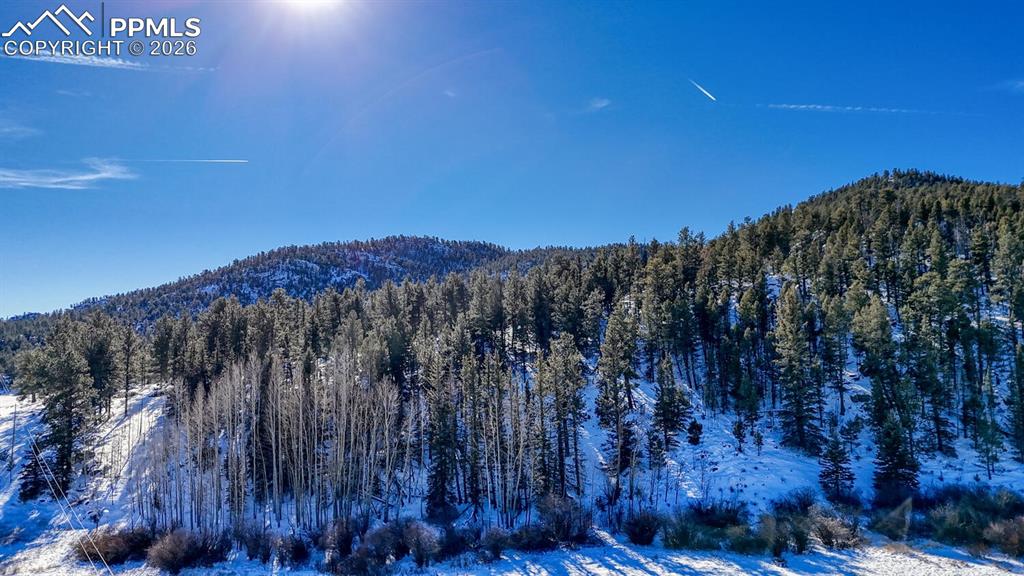 Image 24 of 29: View