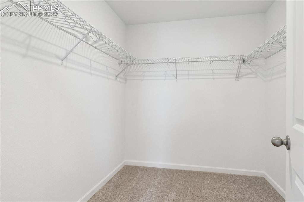 Image 17 of 21: No Description Available