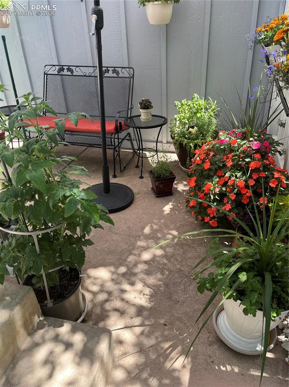 Image 8 of 42: Patio
