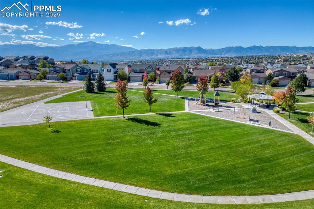 Image 44 of 45: Community