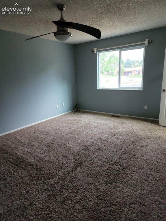 Image 5 of 12: Spacious room featuring plush brown carpeting, light gray wall paint, and a