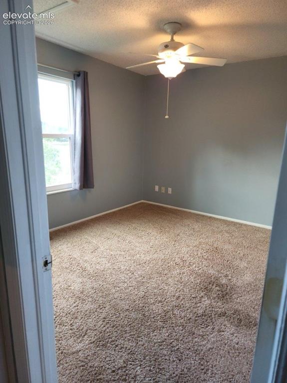Image 7 of 12: Room featuring neutral-toned carpet, gray painted walls, and white trim