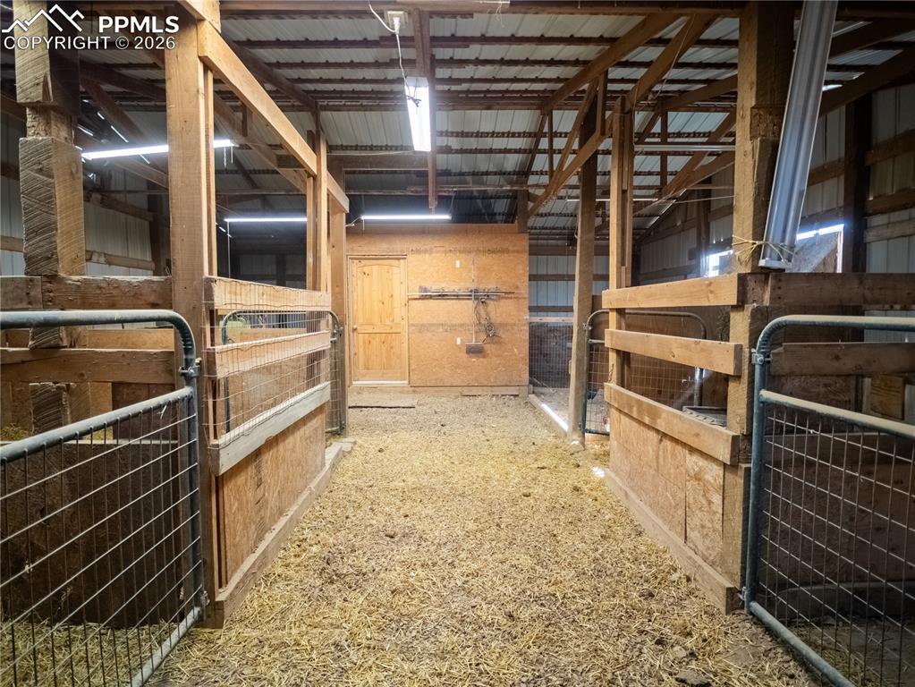 Image 7 of 30: Stable