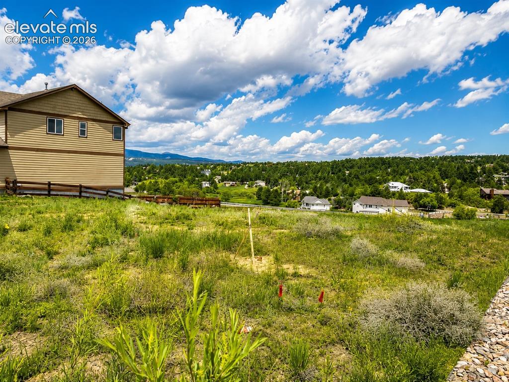 Image 2 of 9: Yard