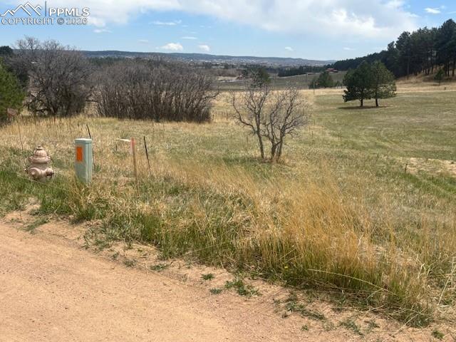 Image 10 of 11: Other