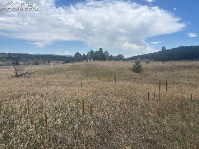 Image 6 of 11: Other