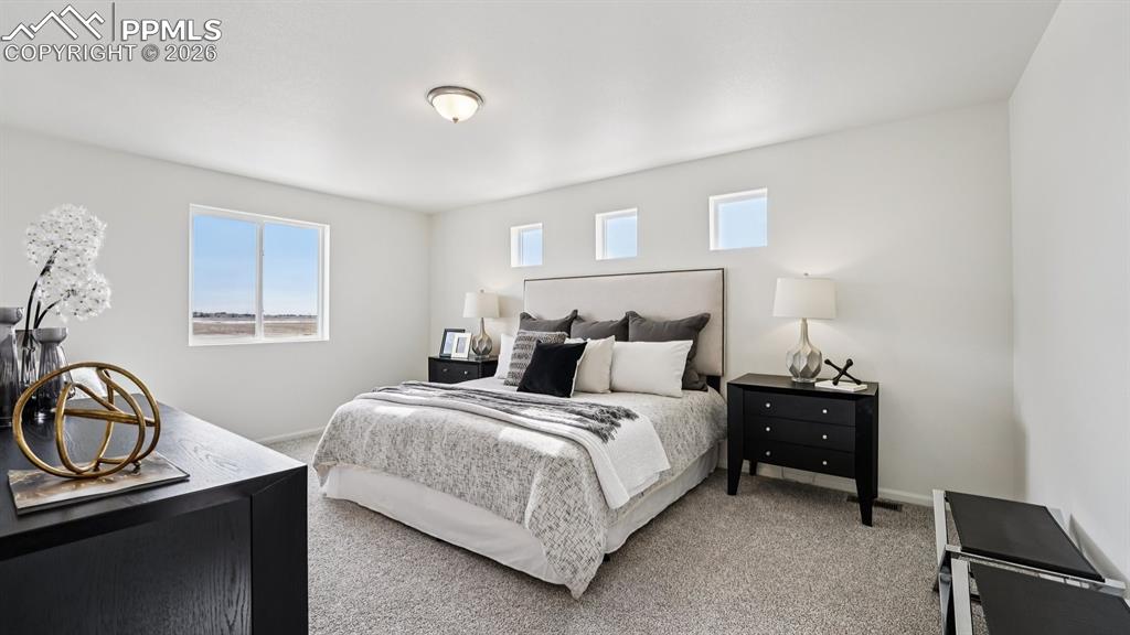 Image 25 of 37: No Description Available