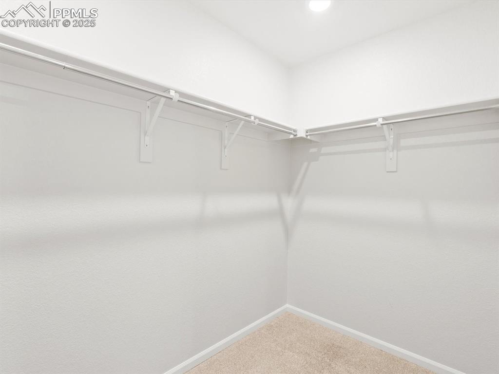 Image 22 of 23: Walk in closet with carpet flooring