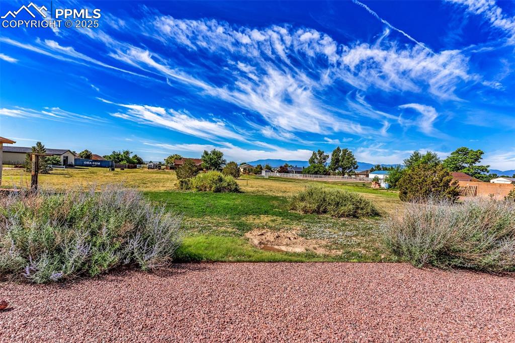 Image 8 of 36: Yard