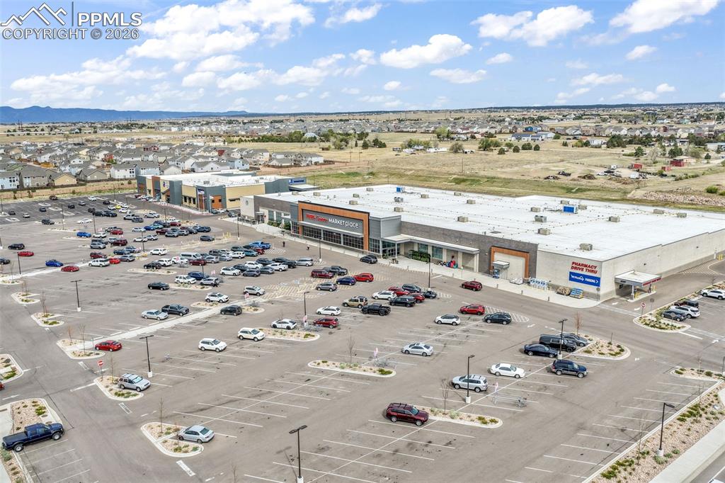 Image 46 of 50: Expansive backyard featuring a large concrete patio, a manicured artificial