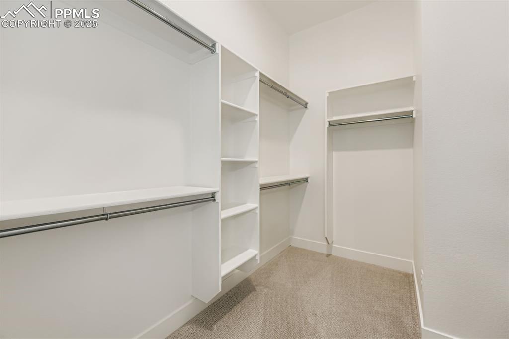 Image 25 of 27: Walk in closet featuring light colored carpet