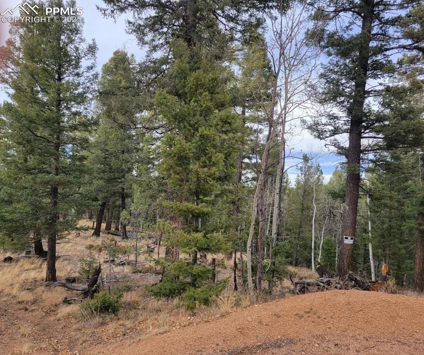 Image 2 of 3: View of tree filled area