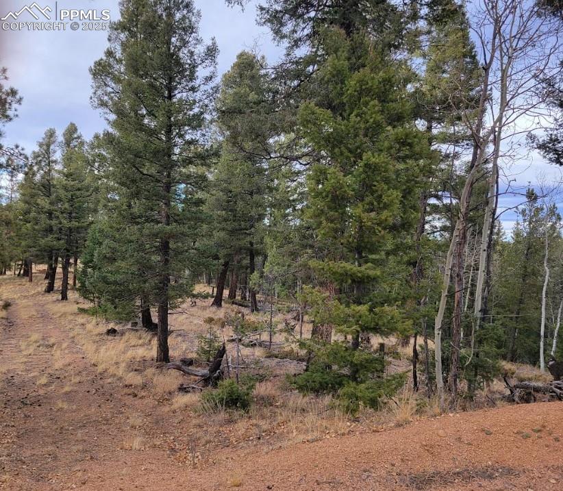 Image 3 of 3: View of local wilderness