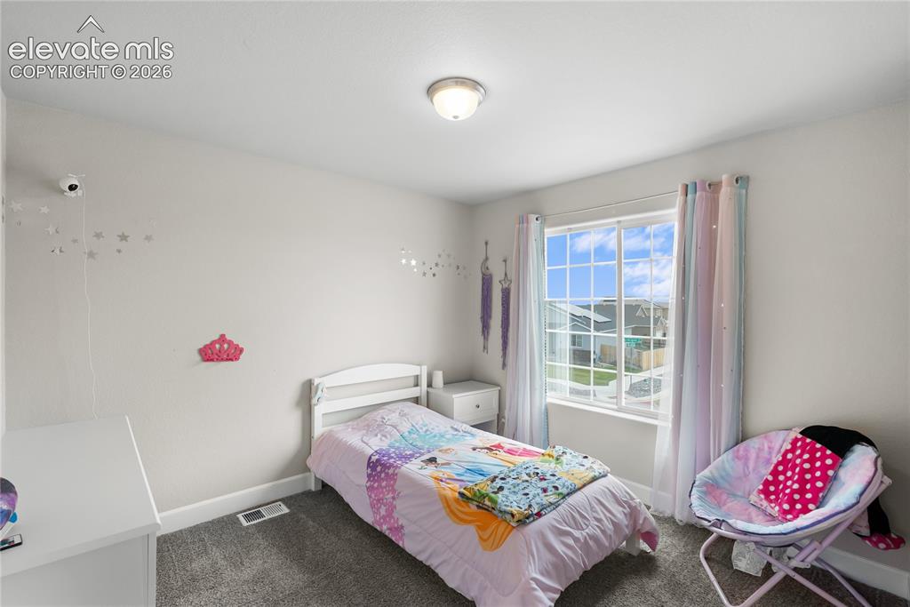 Image 31 of 42: Carpeted room featuring a white-framed window, a built-in overhead light fi