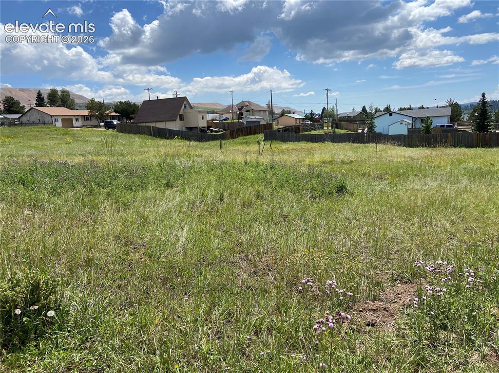 Caption: Yard