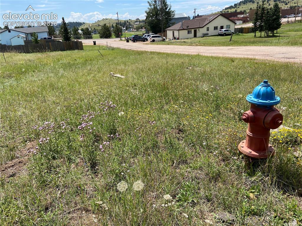 Image 10 of 10: Yard