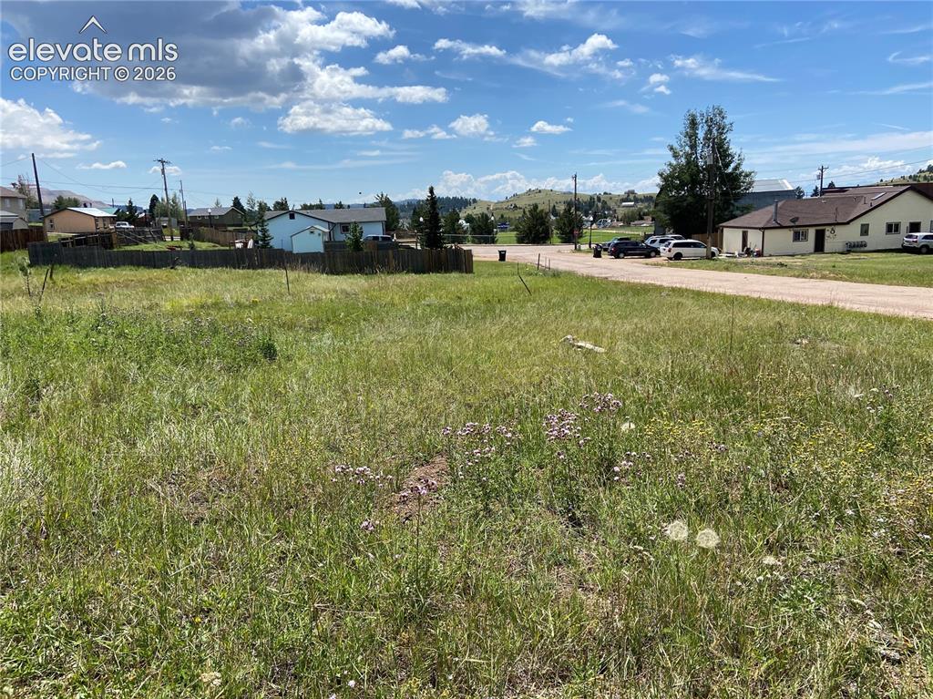 Image 2 of 10: Yard