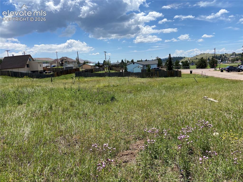 Image 3 of 10: Yard