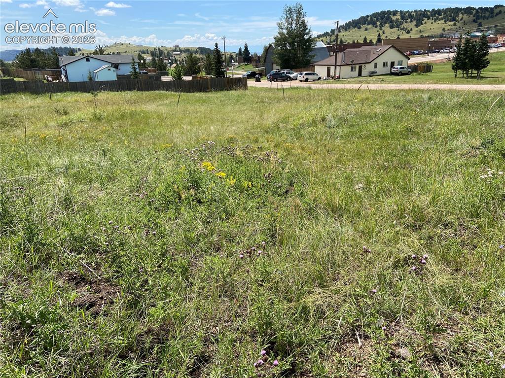 Image 4 of 10: Yard