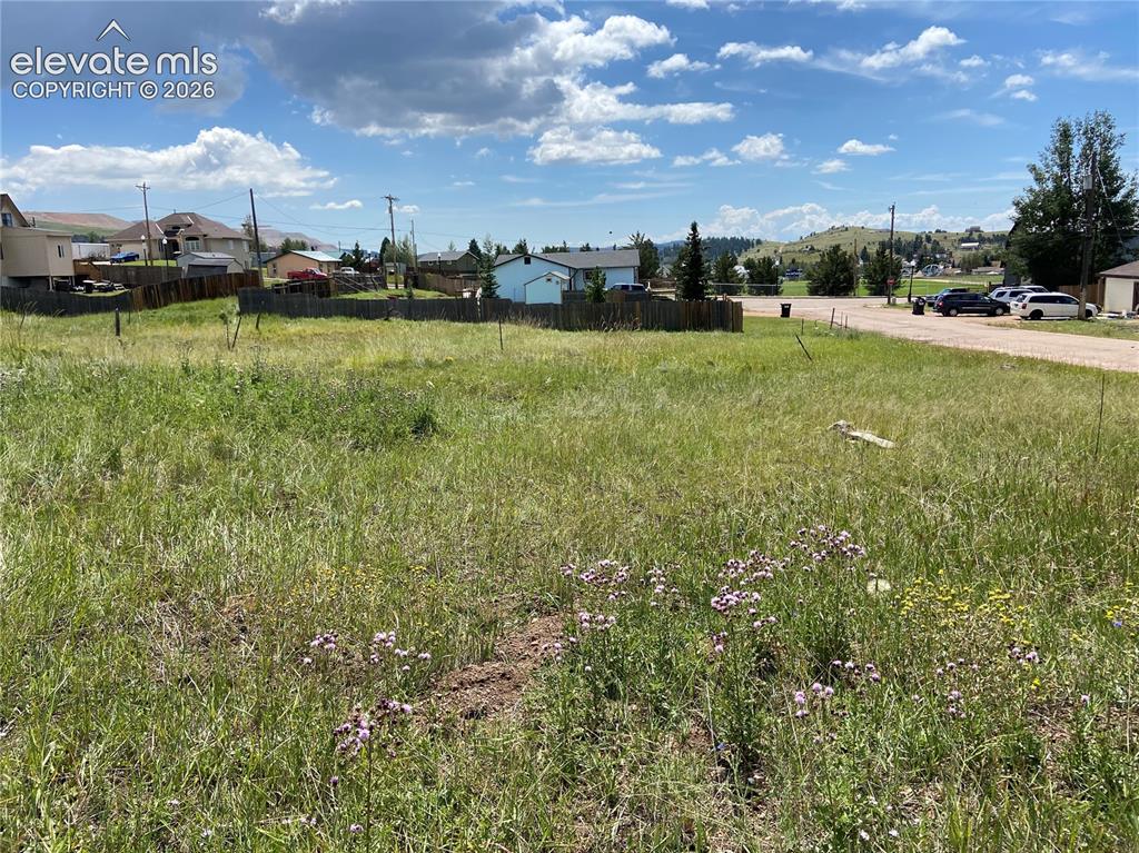 Image 6 of 10: Yard