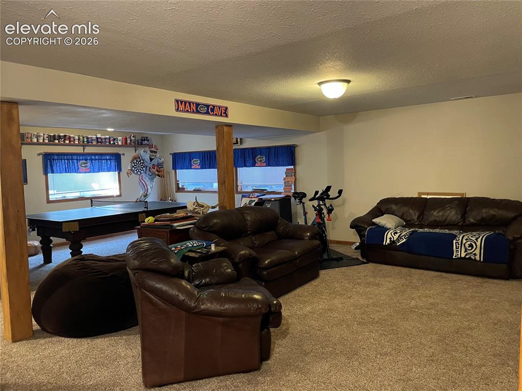 Image 15 of 16: Living Room