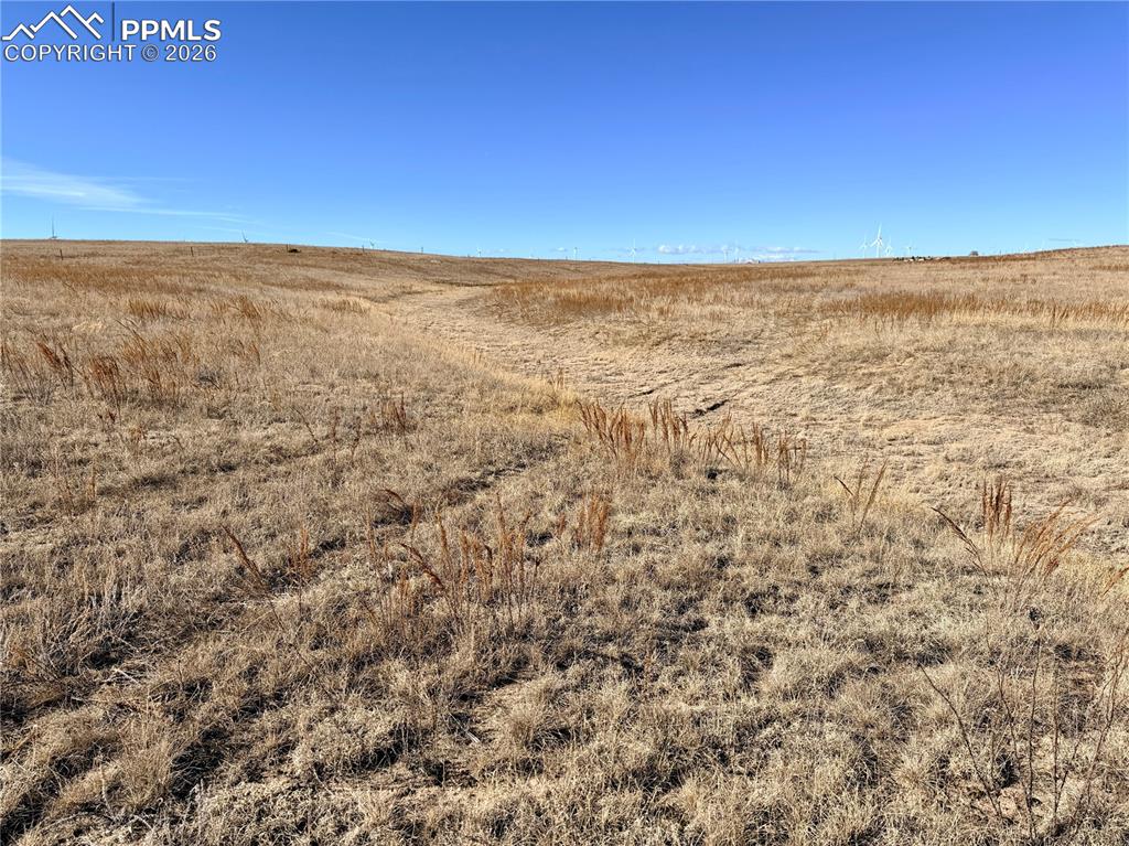 Image 3 of 15: Other