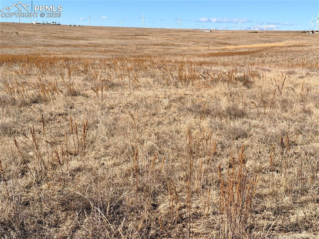 Image 4 of 15: Other