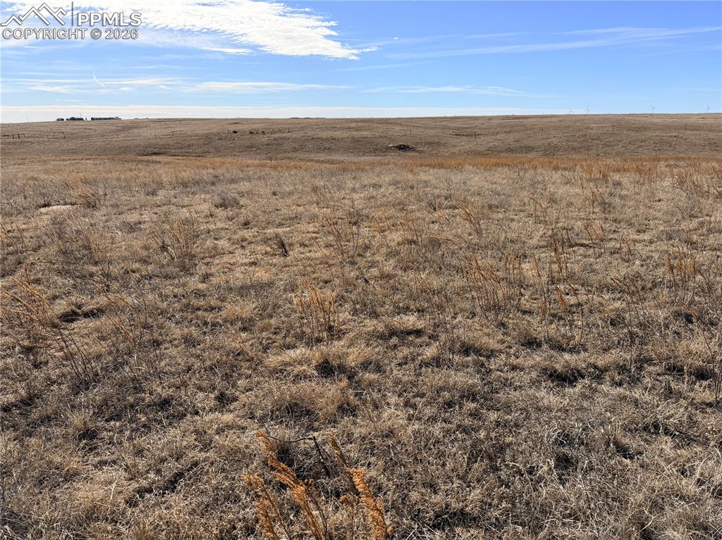 Image 5 of 15: Other