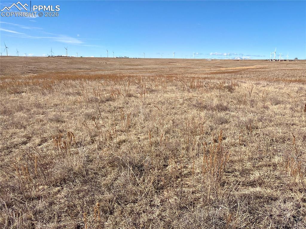 Image 6 of 15: Other