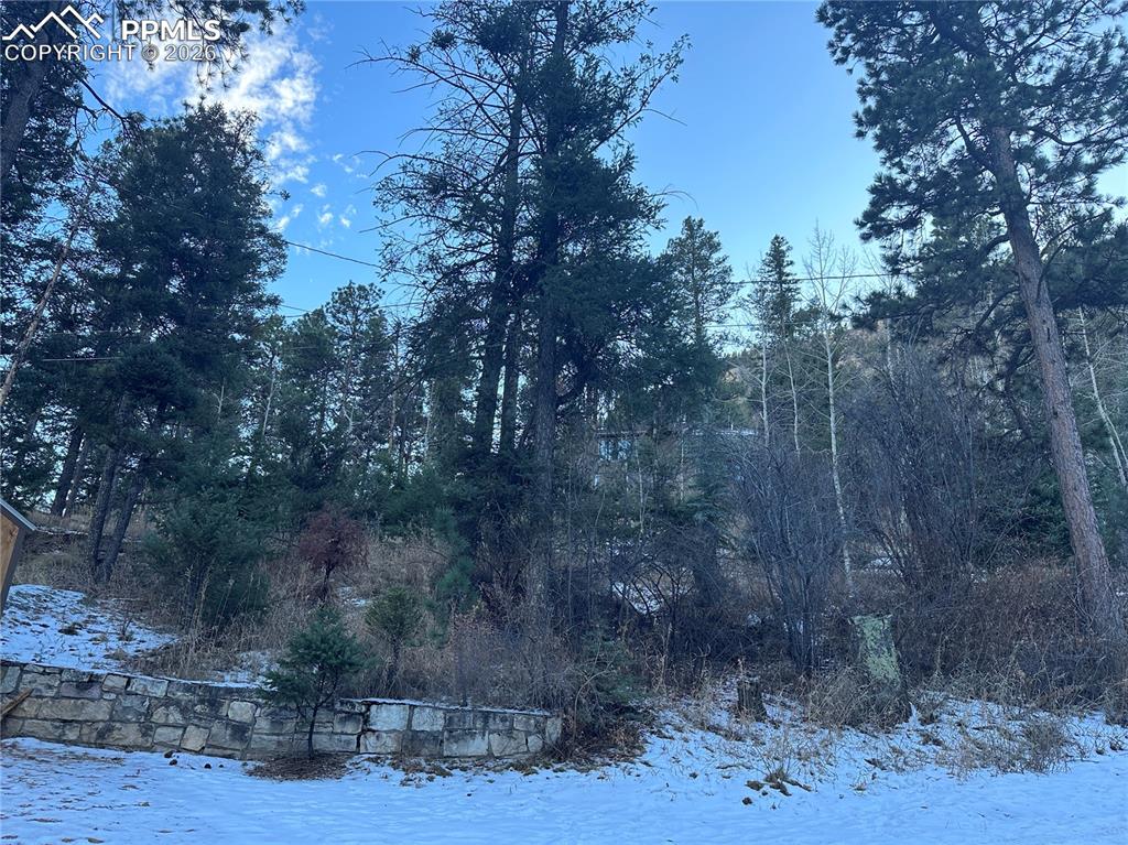 Caption: Picture of vacant lot
