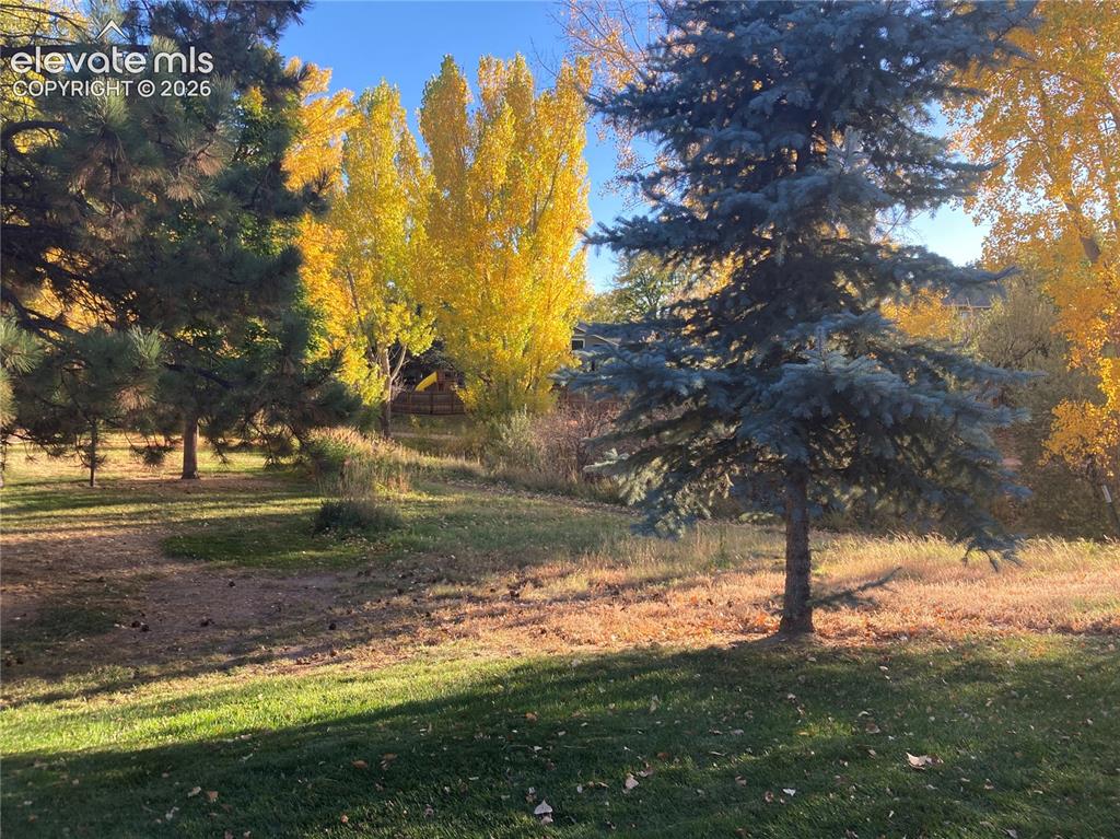 Image 14 of 15: View from patio