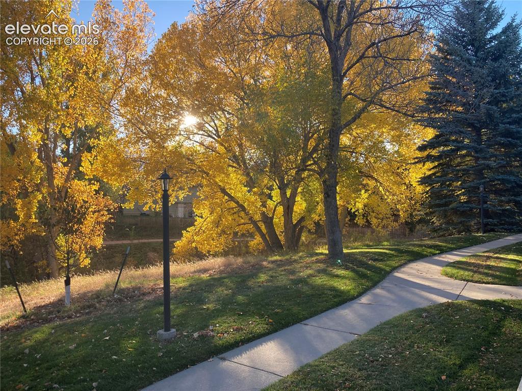 Image 15 of 15: Walking trails seen from patio