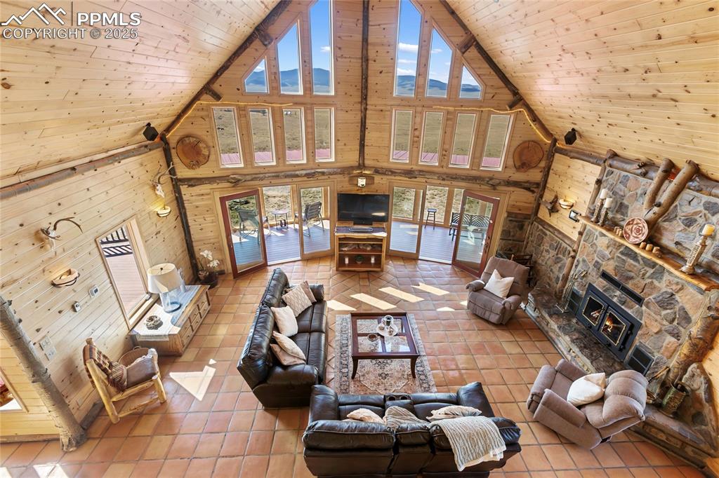 Image 15 of 48: Bird