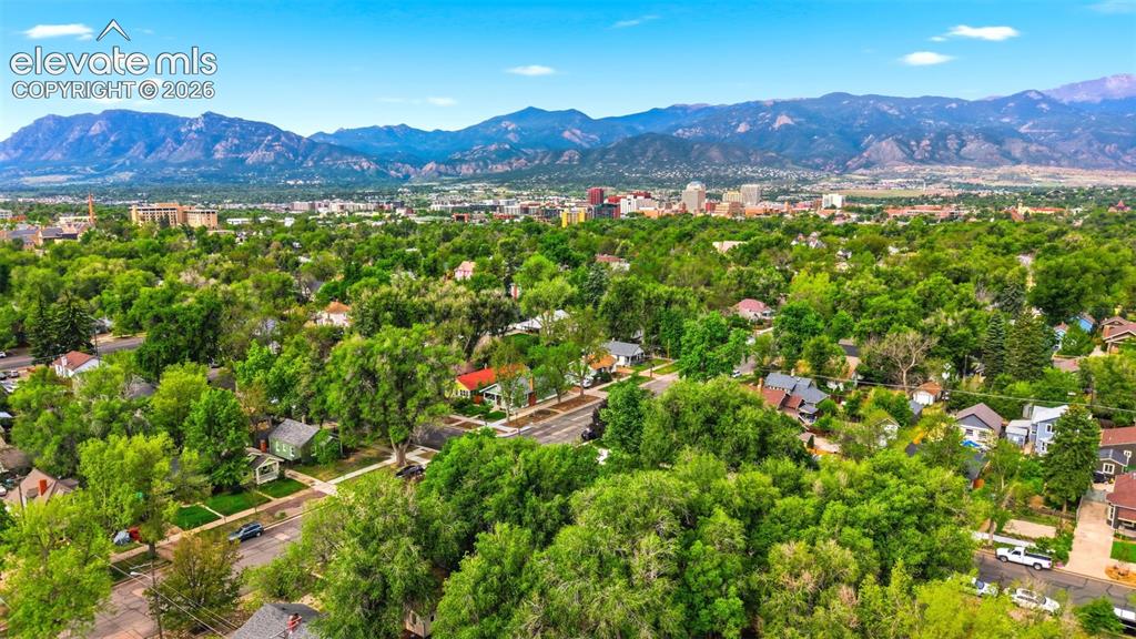 Image 36 of 40: Expansive urban landscape featuring a dense tree canopy and a distant mount