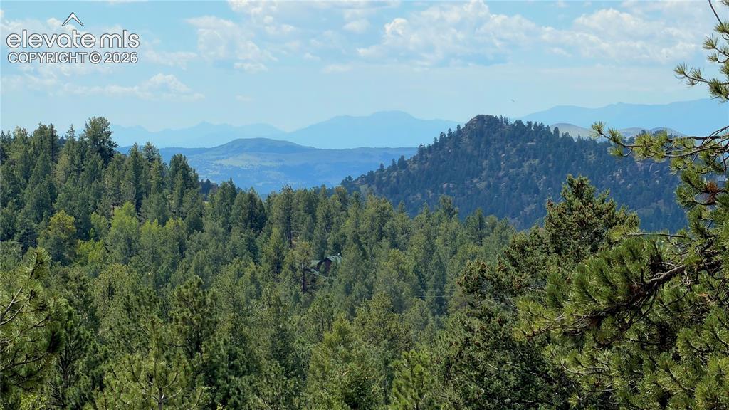 Image 45 of 49: View