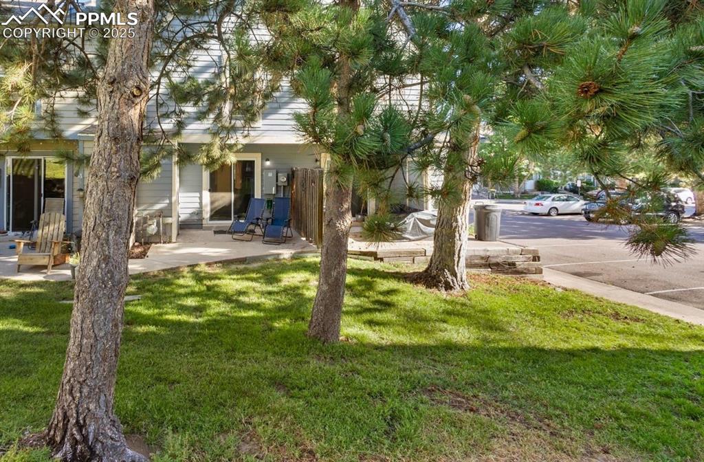 Image 26 of 27: View of grassy yard with a patio area