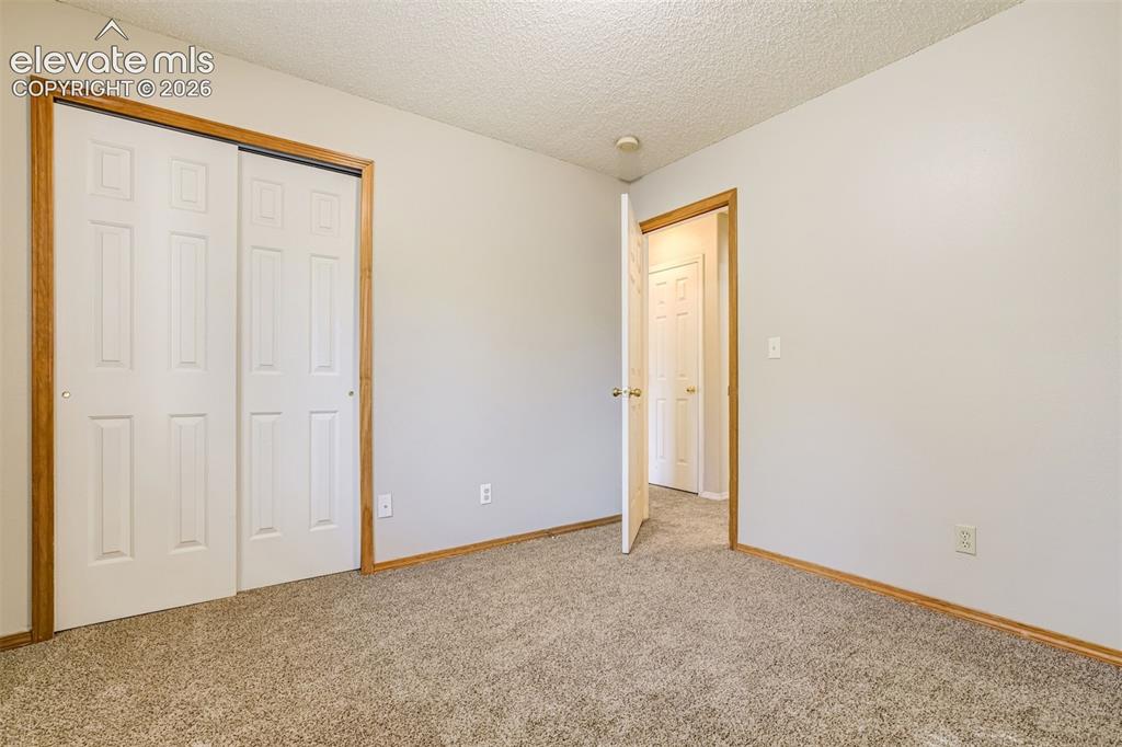 Image 30 of 50: Neutral tone wall paint, carpet flooring, wood-finish trim, and white panel