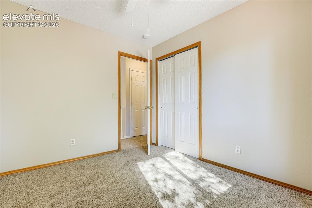 Image 32 of 50: Carpeted flooring, neutral wall color, white paneled doors, wood-finish tri