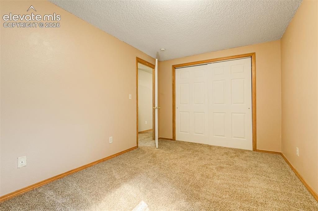 Image 41 of 50: Carpeted flooring, neutral wall color, bi-fold closet doors, wood-finish tr