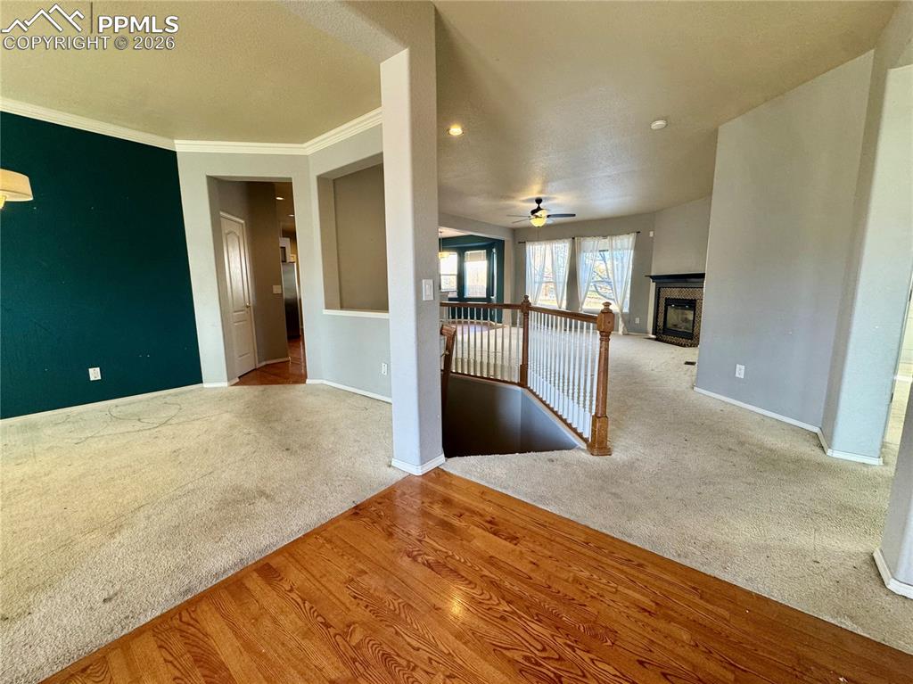 Image 2 of 50: Other